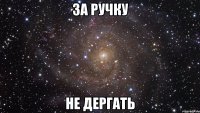 За ручку НЕ дергать