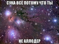 СУКА ВСЁ ПОТОМУ ЧТО ТЫ НЕ АЛЛОДЕР