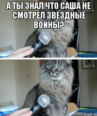 А ты знал что Саша не смотрел звездные войны? 