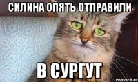 Силина опять отправили в Сургут