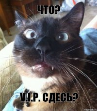 Что? V.I.P. Сдесь?