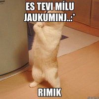 Es Tevi mílu Jaukuminj..:* Rimik