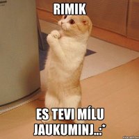 Rimik Es Tevi mílu Jaukuminj..:*