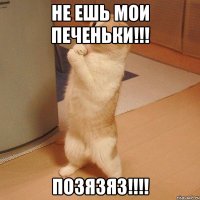 Не ешь мои печеньки!!! Позязяз!!!!