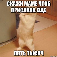 Скажи маме чтоб прислала еще Пять тысяч