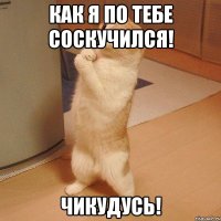 Как я по тебе Соскучился! Чикудусь!