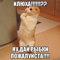 Илюха!!!!!!?? Ну дай рыбки пожалуйста!!!!