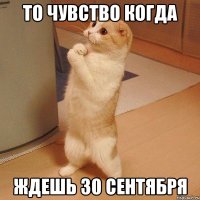 то чувство когда ждешь 30 сентября