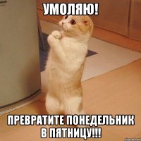 Умоляю! Превратите понедельник в пятницу!!!