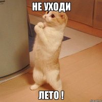 Не уходи Лето !