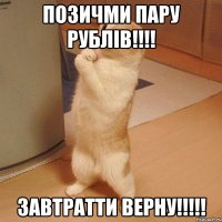 позичми пару рублів!!!! завтратти верну!!!!!