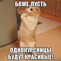 БОЖЕ, ПУСТЬ ОДНОКУРСНИЦЫ БУДУТ КРАСИВЫЕ!