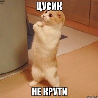 ЦУСИК НЕ КРУТИ