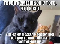 Ты вот смеешься с того, что я кот а вечег`ом я сделаю подкоп под твой дом во имя кошачьего "Сопг`отивления"