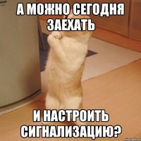 А можно сегодня заехать и настроить сигнализацию?