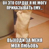 Ох Это сердце я не могу приказывать ему... Выходи за меня моя любовь