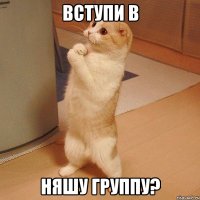 Вступи в Няшу группу?