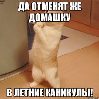 Да отменят же домашку В летние каникулы!