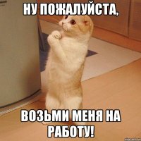 Ну пожалуйста, возьми меня на работу!