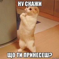 ну скажи що ти принесеш?