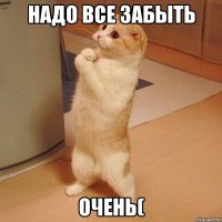 Надо все забыть Очень(