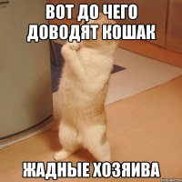 Вот до чего доводят кошак жадные хозяива