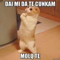 dai mi da te cunkam molq te