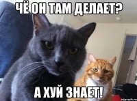 Чё он там делает? А хуй знает!