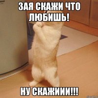 Зая скажи что любишь! Ну скажиии!!!