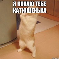 я кохаю тебе катюшенька 