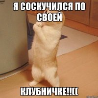 Я Соскучился По Своей Клубничке!!((