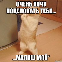 очень хочу поцеловать тебя... ...малиш мой*