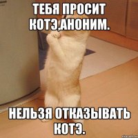 Тебя просит котэ,Аноним. Нельзя отказывать котэ.