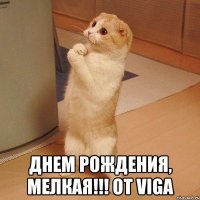  днем рождения, мелкая!!! от viga