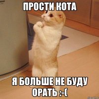 Прости кота Я больше не буду орать :-(