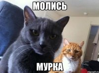 молись мурка