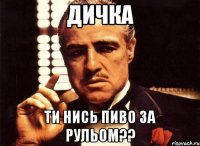 Дичка ти нись пиво за рульом??