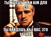 ты ищешь WH и AIM для CS ты найдешь их у нас, это точно!