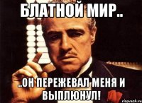 Блатной мир.. ..он пережевал меня и выплюнул!