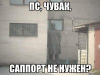 пс, чувак, саппорт не нужен?