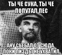 Ты че сука, ты че попутал пес ану сьебал от сюда, поки пизды не ухватил