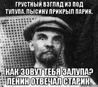 Грустный взгляд из под тулупа. Лысину прикрыл парик. Как зовут тебя залупа? Ленин отвечал старик.