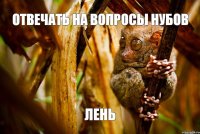 отвечать на вопросы нубов лень