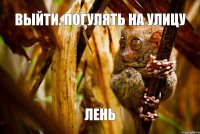 выйти, погулять на улицу лень