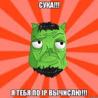 сука!!! я тебя по IP вычислю!!!