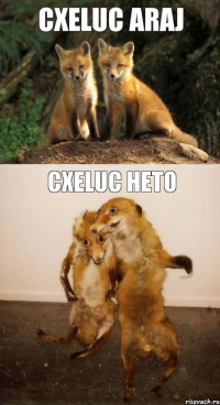 CXELUC ARAJ CXELUC HETO