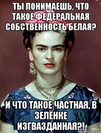 ты понимаешь, что такое федеральная собственность белая? и что такое частная, в зелёнке изгвазданная?!