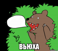  Вьюха