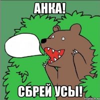 АНКА! СБРЕЙ УСЫ!