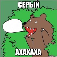 серый ахахаха